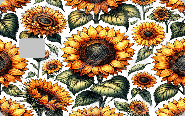 Bank  Card Sticker-BC-422